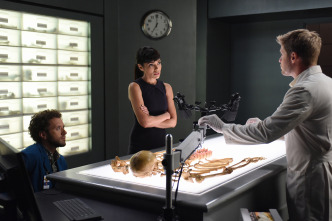 Imagen de Bones (T12) - 5