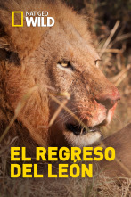 El regreso del león