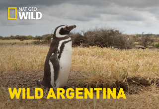 Imagen de Wild Argentina: Las montañas extremas - 2