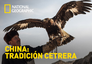 Imagen de China: Tradición Cetrera - 2