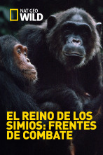 El reino de los simios: frentes de combate 