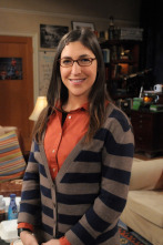 Imagen de The Big Bang Theory (T5) - 5