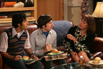 Imagen de The Big Bang Theory (T1): Ep.4 El efecto del pez luminoso - 11
