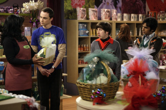 Imagen de The Big Bang Theory (T2): Ep.11 La hipótesis del regalo de baño - 7
