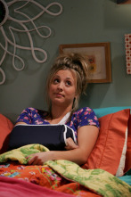 Imagen de The Big Bang Theory (T3): Ep.8 La constante de la fricción en bañeras - 1