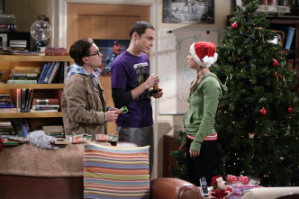 Imagen de The Big Bang Theory (T3): Ep.11 La congruencia maternal - 7