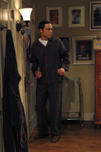 Imagen de The Big Bang Theory (T3): Ep.13 La reacción de bozeman - 1
