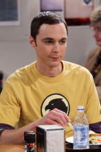 Imagen de The Big Bang Theory (T4): Ep.6 La fórmula de pub irlandés - 1