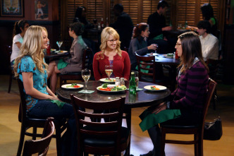 Imagen de The Big Bang Theory (T4): Ep.10 La hipótesis del parásito alienígena - 3