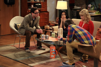 Imagen de The Big Bang Theory (T4): Ep.22 La implementación del ñu - 7