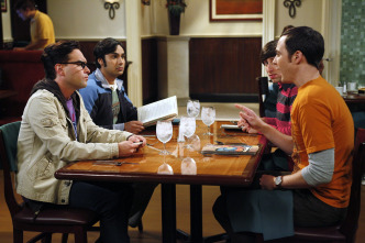 Imagen de The Big Bang Theory (T5): Ep.4 El catalizador del dedo que se menea - 7