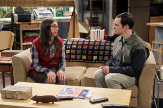 Imagen de The Big Bang Theory (T5): Ep.6 La revelación de la rinitis - 4