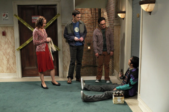 Imagen de The Big Bang Theory (T5): Ep.6 La revelación de la rinitis - 5