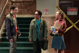 Imagen de The Big Bang Theory (T5): Ep.7 La fluctuación del buen chico - 7
