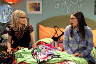 Imagen de The Big Bang Theory (T5): Ep.13 La hipótesis de la recombinación - 3