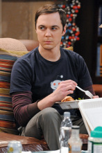 Imagen de The Big Bang Theory (T5): Ep.16 La solución a las vacaciones - 1