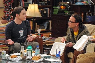 Imagen de The Big Bang Theory (T5): Ep.16 La solución a las vacaciones - 3