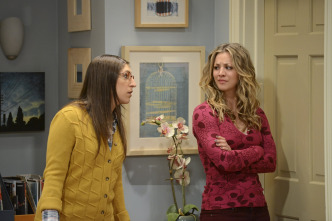 Imagen de The Big Bang Theory (T5): Ep.22 La convergencia del macho solitario - 8
