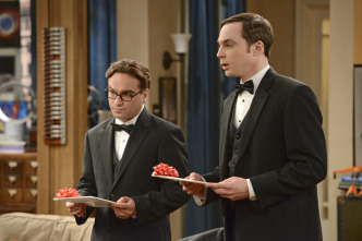 Imagen de The Big Bang Theory (T5): Ep.24 La reflexión de la cuenta atrás - 5