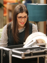 Imagen de The Big Bang Theory (T6): Ep.3 La observación del Bosón de Higgs - 6
