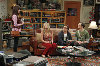 Imagen de The Big Bang Theory (T6): Ep.3 La observación del Bosón de Higgs - 7
