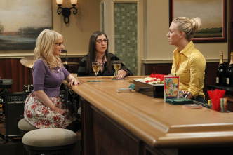 Imagen de The Big Bang Theory (T6): Ep.5 La excitación holográfica - 6