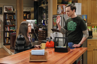 Imagen de The Big Bang Theory (T6): Ep.5 La excitación holográfica - 7