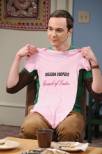 Imagen de The Big Bang Theory (T6): Ep.12 La Equivalencia del Sándwich Vegetal - 3