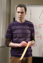 Imagen de The Big Bang Theory (T6): Ep.14 La inversión Cooper-Kripke - 1