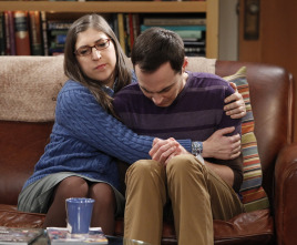 Imagen de The Big Bang Theory (T6): Ep.14 La inversión Cooper-Kripke - 5