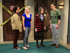 Imagen de The Big Bang Theory (T6): Ep.15 La segmentación de los finales desvelados - 2