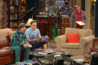 Imagen de The Big Bang Theory (T6): Ep.18 La implementación de la obligación contractual - 2