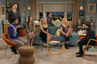 Imagen de The Big Bang Theory (T6): Ep.19 La reconfiguración del armario - 5