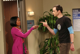 Imagen de The Big Bang Theory (T6): Ep.20 La turbulencia de la permanencia - 4