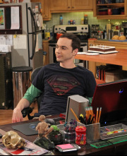 Imagen de The Big Bang Theory (T6): Ep.21 La alternativa de la finalización - 1