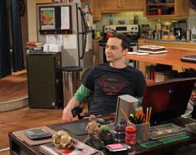Imagen de The Big Bang Theory (T6): Ep.21 La alternativa de la finalización - 3