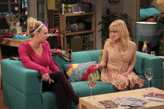 Imagen de The Big Bang Theory (T6): Ep.21 La alternativa de la finalización - 5