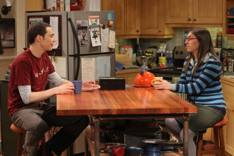 Imagen de The Big Bang Theory (T6): Ep.21 La alternativa de la finalización - 8