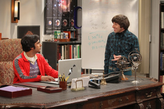Imagen de The Big Bang Theory (T6): Ep.21 La alternativa de la finalización - 9