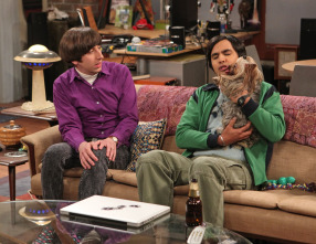 Imagen de The Big Bang Theory (T6): Ep.21 La alternativa de la finalización - 11