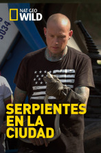 Imagen de Serpientes en la ciudad  - 1