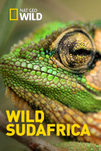 Imagen de Wild Sudáfrica  - 1