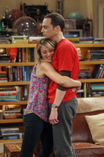 The Big Bang Theory (T7): Ep.1 La insuficiencia Hofstadter