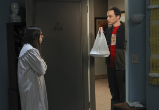 Imagen de The Big Bang... (T7): Ep.5 La proximidad del lugar de trabajo - 6