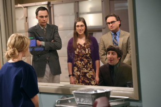 Imagen de The Big Bang... (T7): Ep.6 La resonancia del romance - 2
