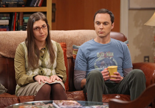 Imagen de The Big Bang... (T7): Ep.7 El protón desplazado - 8