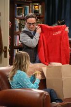 Imagen de The Big Bang... (T7): Ep.8 La simulación del picor de cerebro - 3