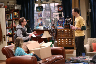 Imagen de The Big Bang... (T7): Ep.8 La simulación del picor de cerebro - 6