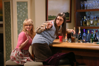 Imagen de The Big Bang... (T7): Ep.8 La simulación del picor de cerebro - 11