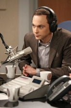 Imagen de The Big Bang... (T7): Ep.10 La disipación del descubrimiento - 1